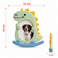 Dinosaur Rocking Photo Frame DIY Paint Craft | Art & Arrow